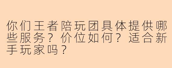 你们王者陪玩团具体提供哪些服务?价位如何?适合新手玩家吗?