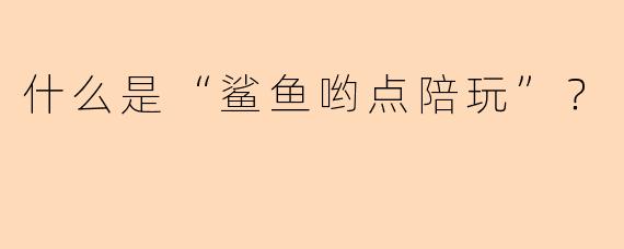 什么是“鲨鱼哟点陪玩”？