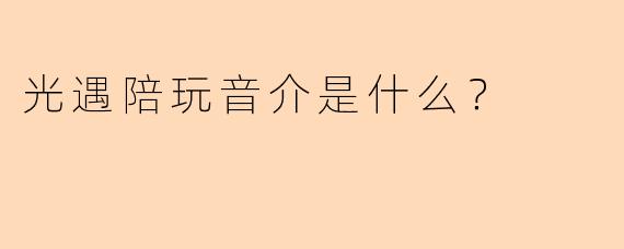 光遇陪玩音介是什么？