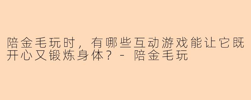 陪金毛玩时，有哪些互动游戏能让它既开心又锻炼身体？-陪金毛玩