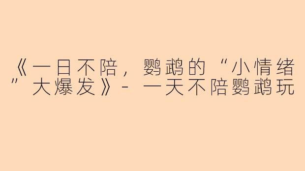 《一日不陪，鹦鹉的“小情绪”大爆发》-一天不陪鹦鹉玩