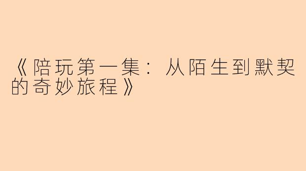 《陪玩第一集：从陌生到默契的奇妙旅程》