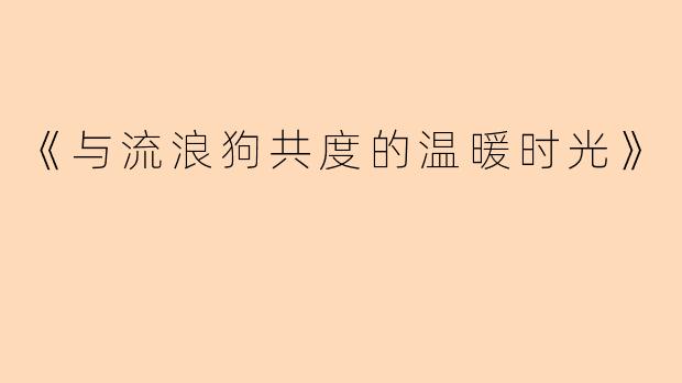 《与流浪狗共度的温暖时光》