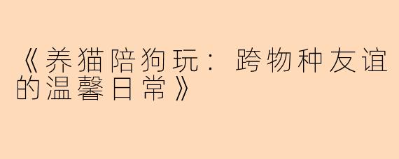 《养猫陪狗玩：跨物种友谊的温馨日常》