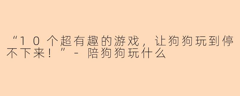 “10个超有趣的游戏，让狗狗玩到停不下来！”-陪狗狗玩什么