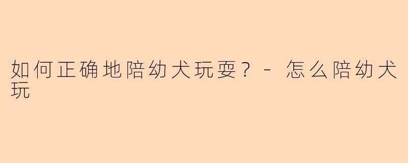 如何正确地陪幼犬玩耍？-怎么陪幼犬玩