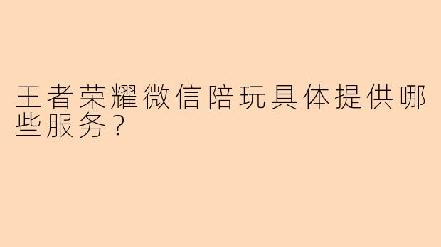 王者荣耀微信陪玩具体提供哪些服务？