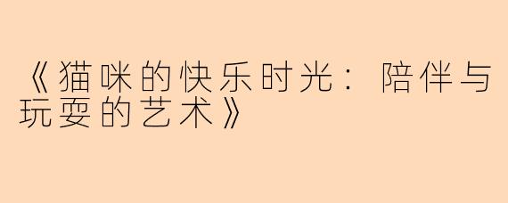 《猫咪的快乐时光：陪伴与玩耍的艺术》