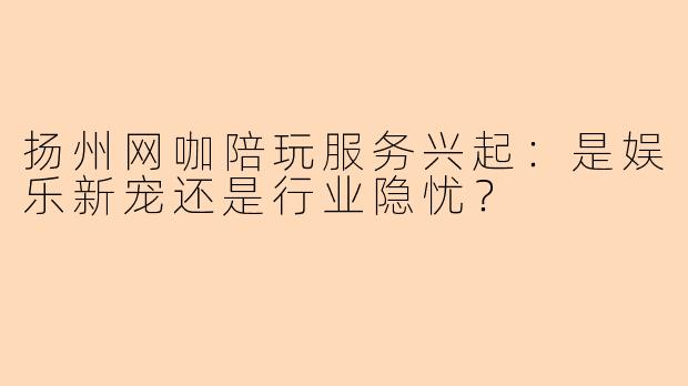 扬州网咖陪玩服务兴起：是娱乐新宠还是行业隐忧？