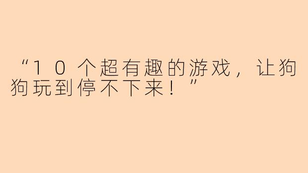 “10个超有趣的游戏，让狗狗玩到停不下来！”