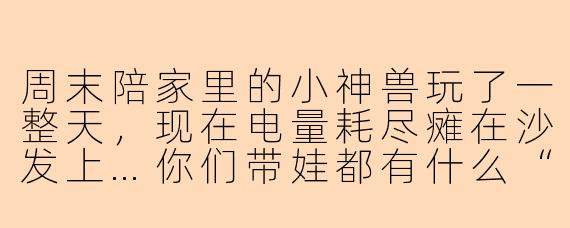 周末陪家里的小神兽玩了一整天，现在电量耗尽瘫在沙发上…你们带娃都有什么“保命”妙招啊？