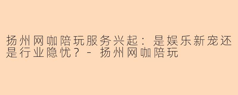 扬州网咖陪玩服务兴起：是娱乐新宠还是行业隐忧？-扬州网咖陪玩