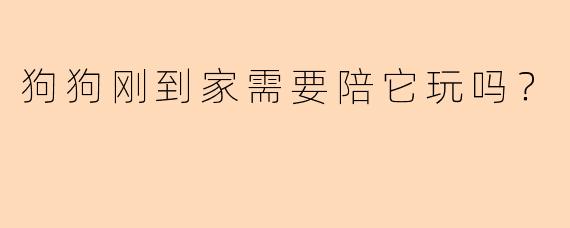 狗狗刚到家需要陪它玩吗？
