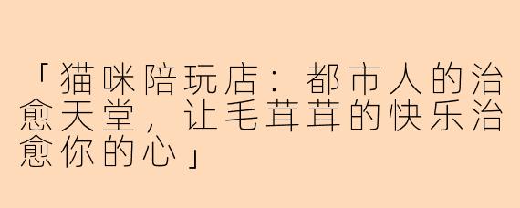 「猫咪陪玩店：都市人的治愈天堂，让毛茸茸的快乐治愈你的心」