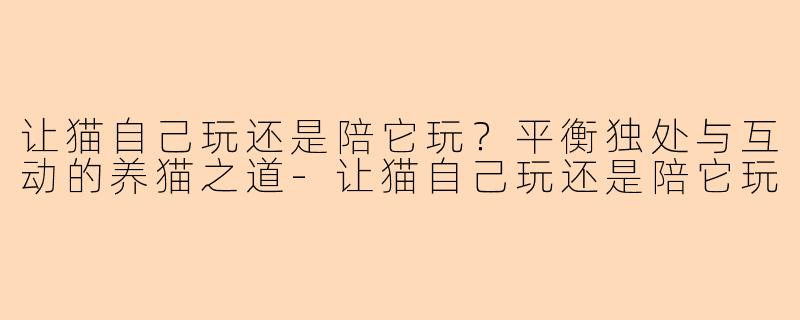 让猫自己玩还是陪它玩?平衡独处与互动的养猫之道
