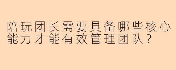 陪玩团长需要具备哪些核心能力才能有效管理团队？