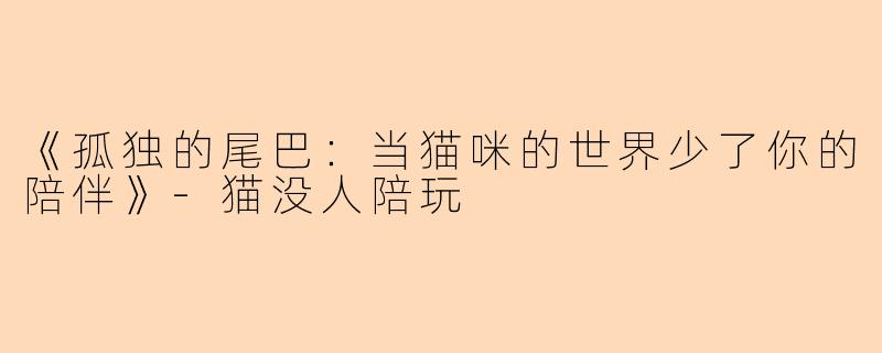 《孤独的尾巴：当猫咪的世界少了你的陪伴》-猫没人陪玩