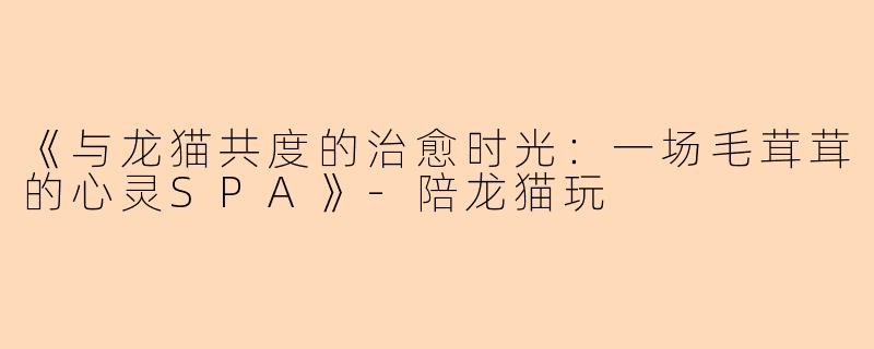 《与龙猫共度的治愈时光：一场毛茸茸的心灵SPA》-陪龙猫玩