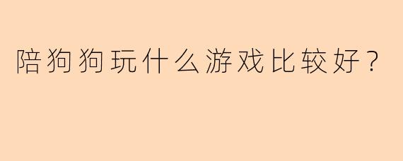 陪狗狗玩什么游戏比较好？