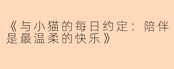 《与小猫的每日约定：陪伴是最温柔的快乐》