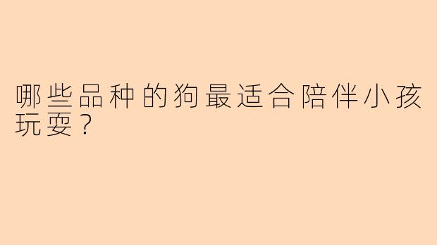 哪些品种的狗最适合陪伴小孩玩耍？
