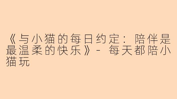 《与小猫的每日约定：陪伴是最温柔的快乐》-每天都陪小猫玩