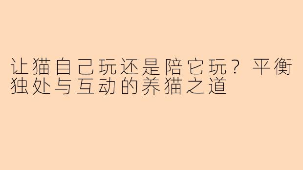 让猫自己玩还是陪它玩？平衡独处与互动的养猫之道