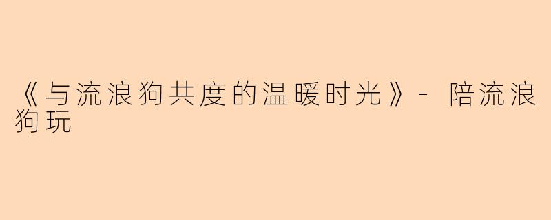 《与流浪狗共度的温暖时光》