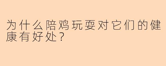 为什么陪鸡玩耍对它们的健康有好处？