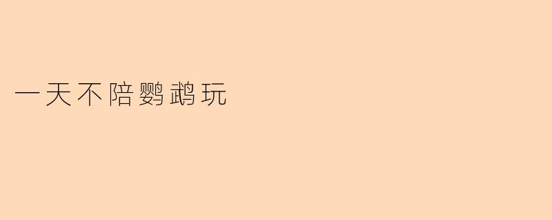 一天不陪鹦鹉玩