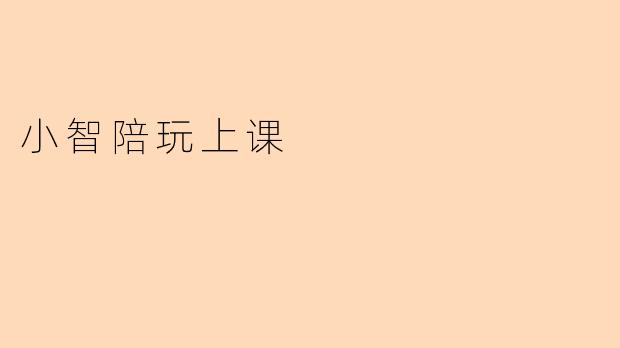 小智陪玩上课