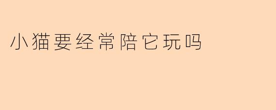 小猫要经常陪它玩吗