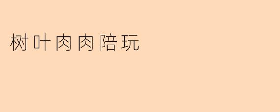 树叶肉肉陪玩