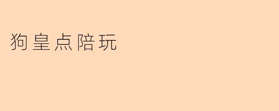 什么是“狗皇点陪玩”？