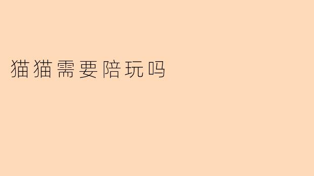 猫猫需要陪玩吗
