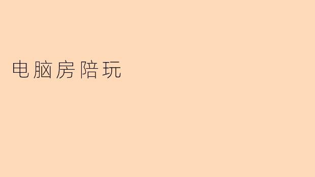 电脑房陪玩