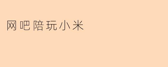 网吧陪玩小米