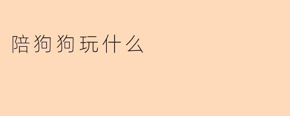 陪狗狗玩什么