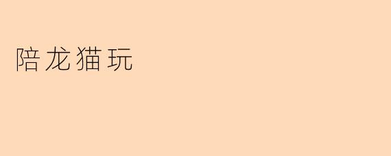 陪龙猫玩