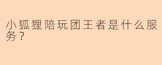 小狐狸陪玩团王者是什么服务？