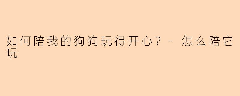 如何陪我的狗狗玩得开心？-怎么陪它玩