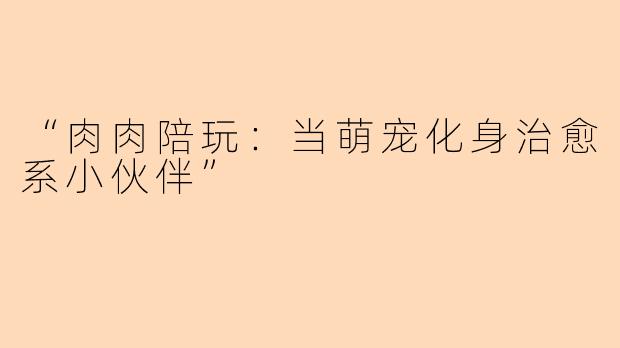 “肉肉陪玩：当萌宠化身治愈系小伙伴”