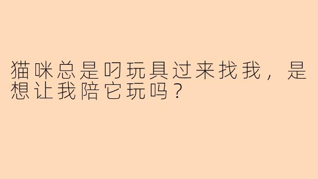 猫咪总是叼玩具过来找我，是想让我陪它玩吗？