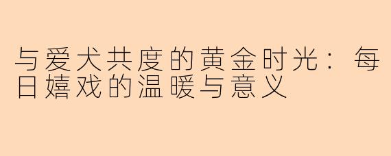 与爱犬共度的黄金时光：每日嬉戏的温暖与意义
