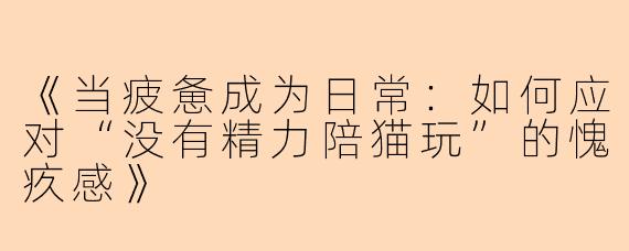 《当疲惫成为日常：如何应对“没有精力陪猫玩”的愧疚感》