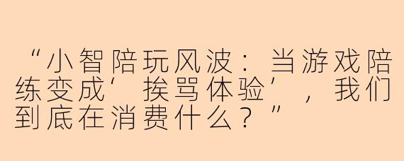 “小智陪玩风波：当游戏陪练变成‘挨骂体验’，我们到底在消费什么？”