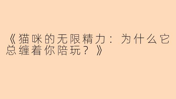 《猫咪的无限精力：为什么它总缠着你陪玩？》