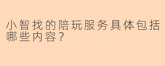 小智找的陪玩服务具体包括哪些内容？
