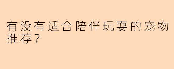 有没有适合陪伴玩耍的宠物推荐？