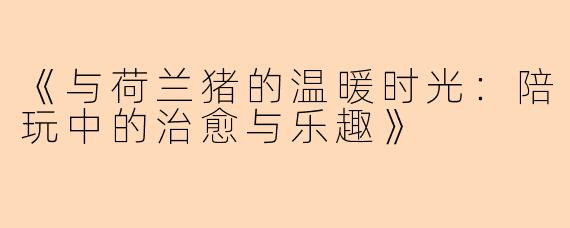 《与荷兰猪的温暖时光：陪玩中的治愈与乐趣》